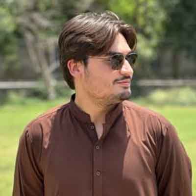 ali developer